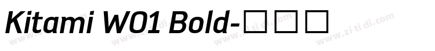 Kitami W01 Bold字体转换